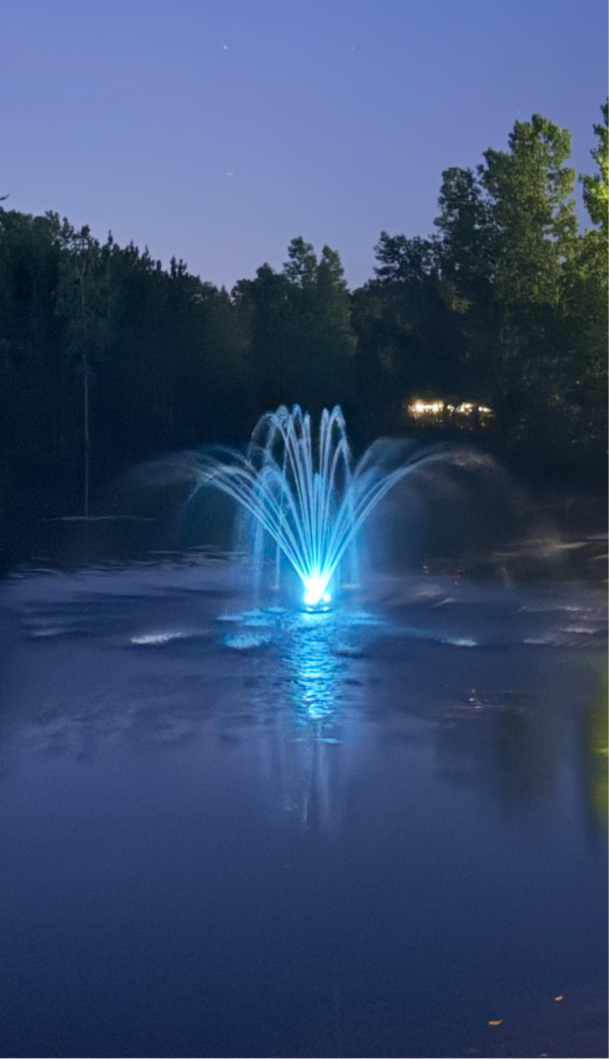 Floating Pond Fountain - 10,000 GPH - 125ft Power Cord - Bluetooth Light Option - Aerator