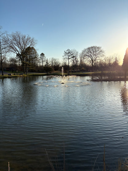 Floating Pond Fountain – 7000 GPH | 125ft Power Cord | Easy Install | Bluetooth Light Option | Water Cannon Fountains