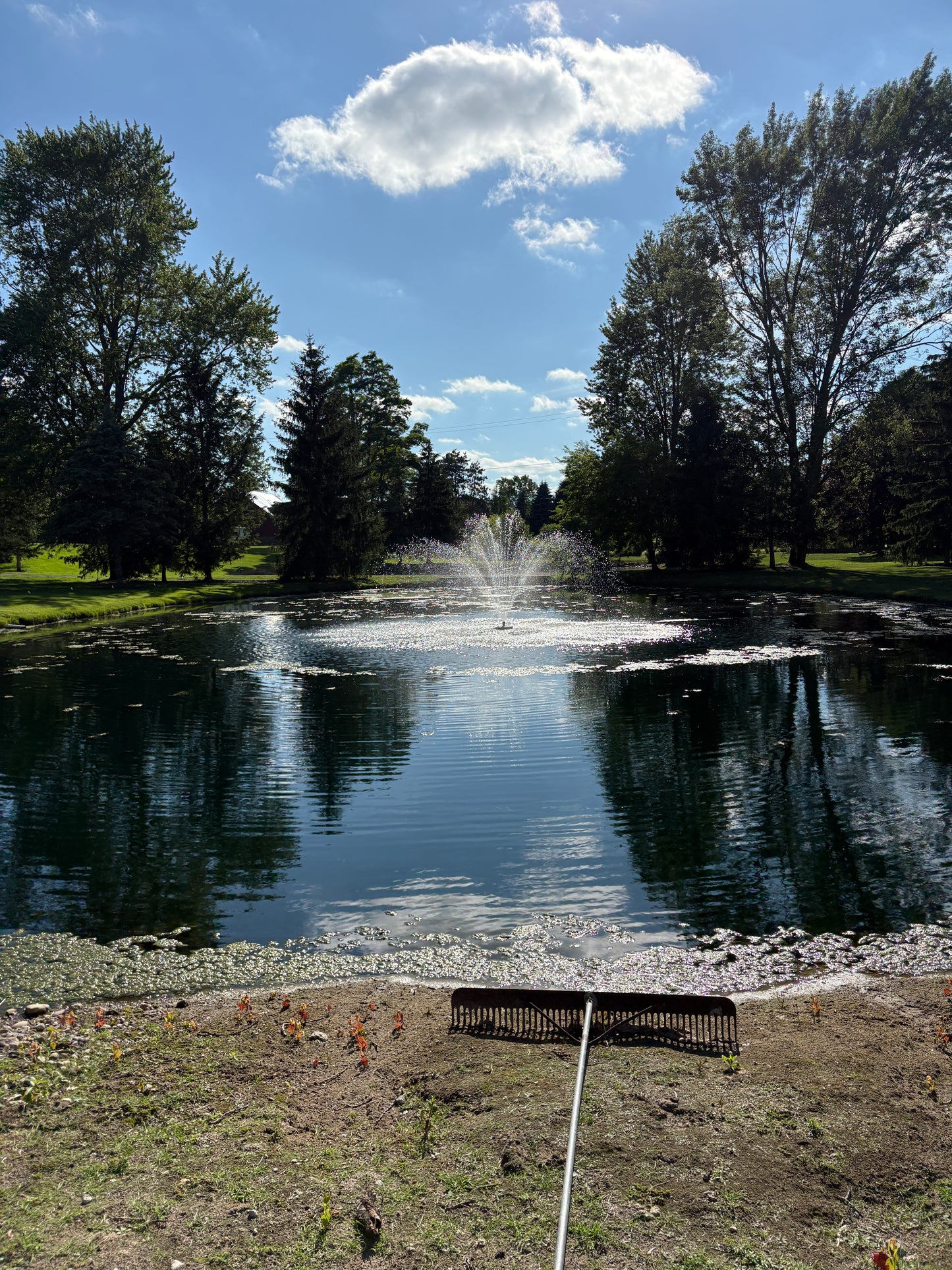 Floating Pond Fountain - 10,000 GPH - 125ft Power Cord - Bluetooth Light Option - Aerator